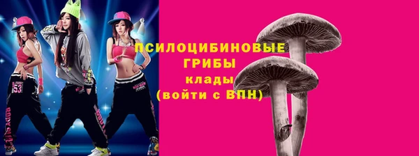 ECSTASY Алексеевка