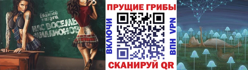 Псилоцибиновые грибы Psilocybe где найти Солнечногорск