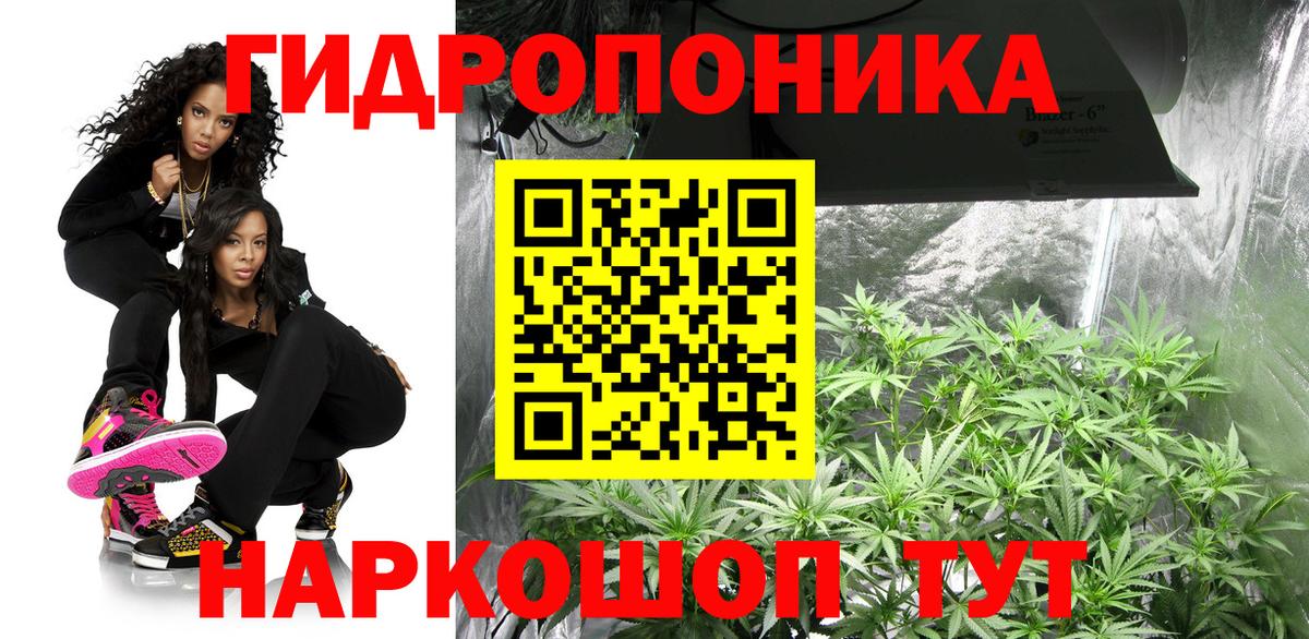 Канабис план Солнечногорск